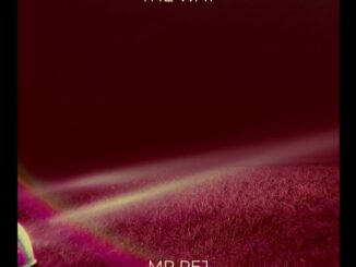 Mr Pej – The Way