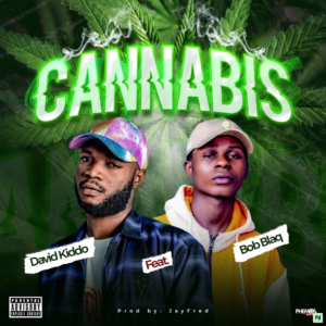 David Kiddo – Cannabis Ft. Bob Blaq
