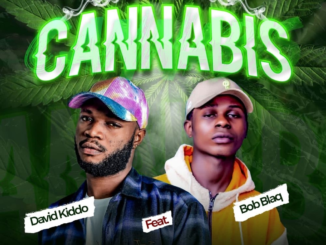 David Kiddo – Cannabis Ft. Bob Blaq