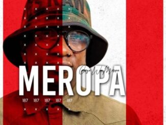 Ceega Wa Meropa – 187 Mix