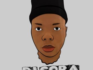 DJ Cora — 13 Dollar