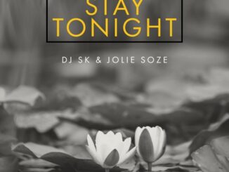 DJ SK – Stay Tonight