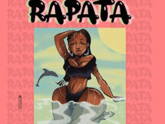 HDesign – Rapata