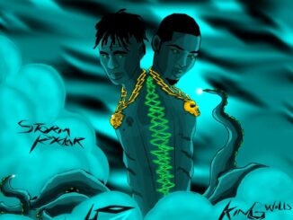 Stormryda ft kingwills – We move