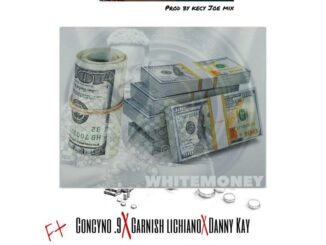 Concyno.9 ft Garnish & Danny Kay – WhiteMoney