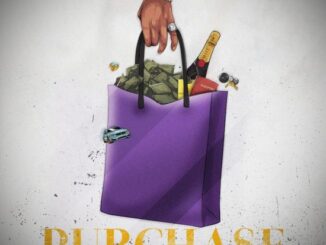 Mega C – Purchase (Budget)
