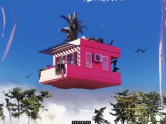 Mr Jukeboxx – Tsunami