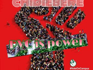 Chidiebere - Pvc is power