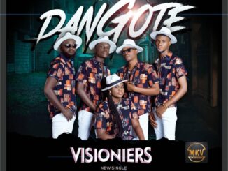 Visioners – Dangote