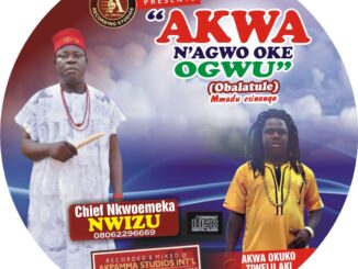 Chief Nkwoemeka Nwizu - Akwa Na Agwo Oke Ogwu