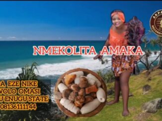 Ada Eze Nike - Mmekolita Amaka