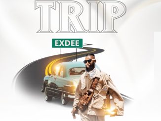 Exdee - Life Is A Trip