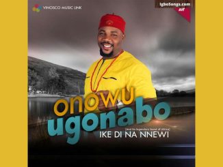 Onowu Ugonabo - Ike Di Na Nnewi