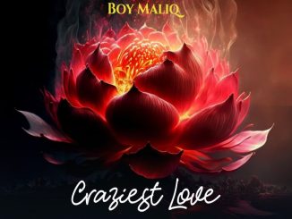 Boy Maliq – Craziest Love
