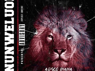 Adsco Inana Ft. Mazxy Boy – Anunweluobi